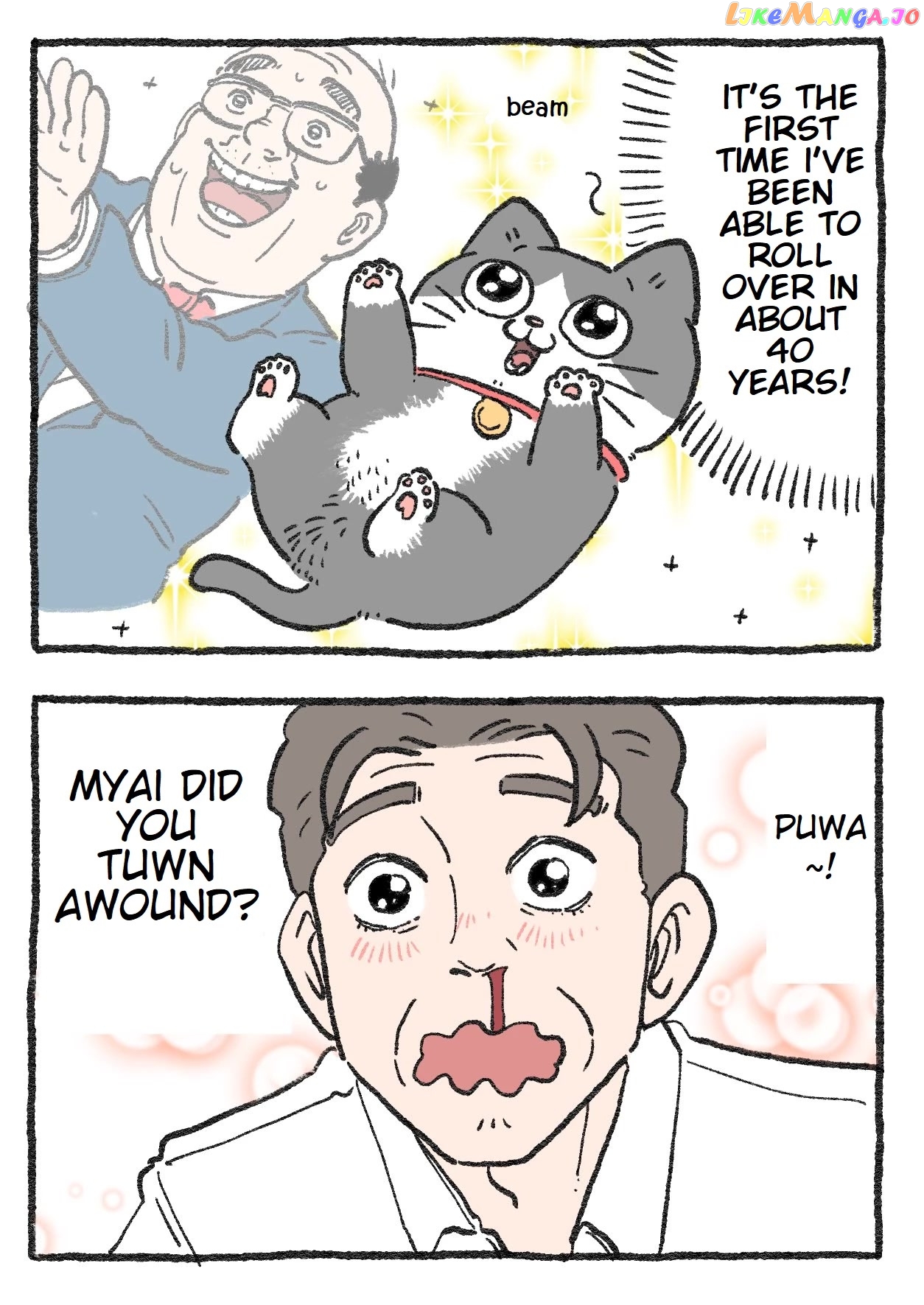 The Old Man Who Was Reincarnated As A Cat chapter 107 - page 2