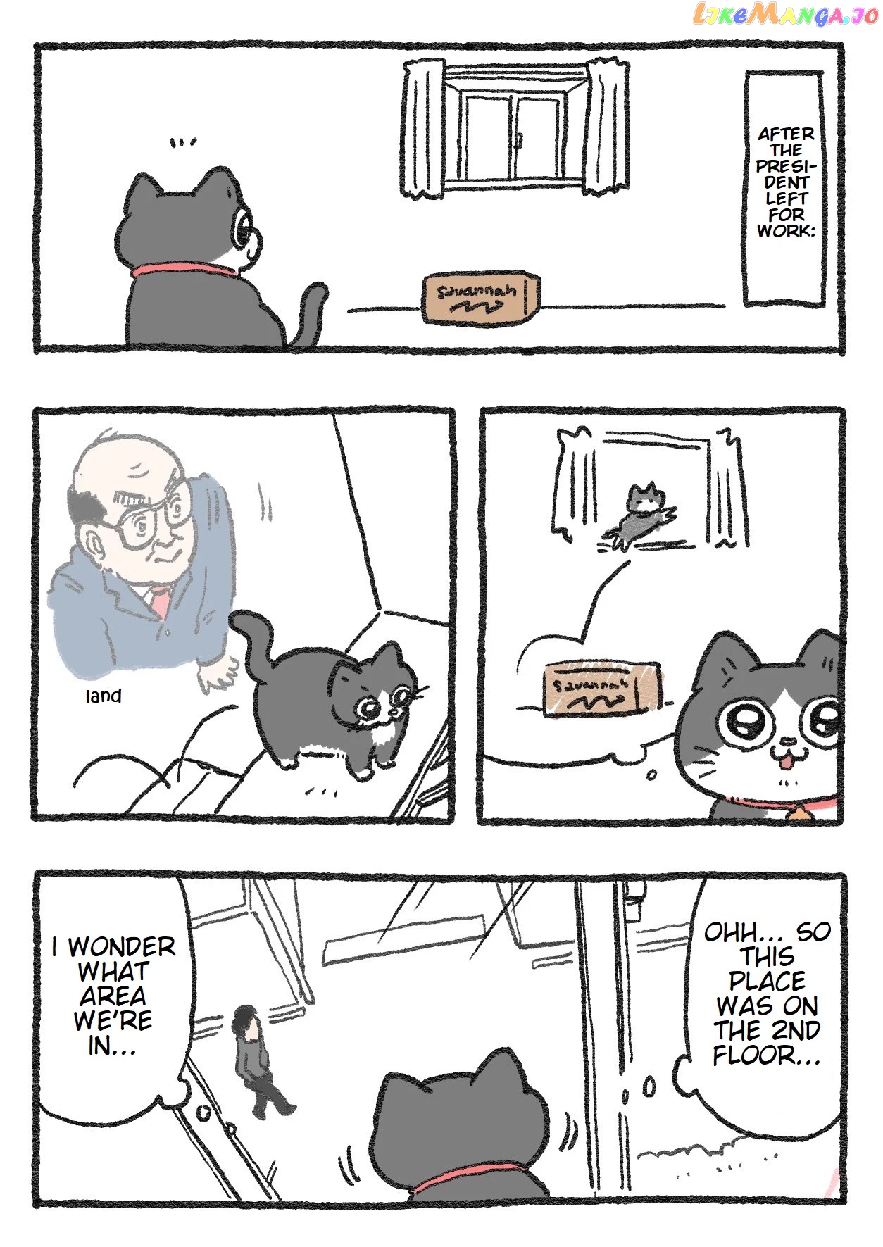 The Old Man Who Was Reincarnated As A Cat chapter 109 - page 1