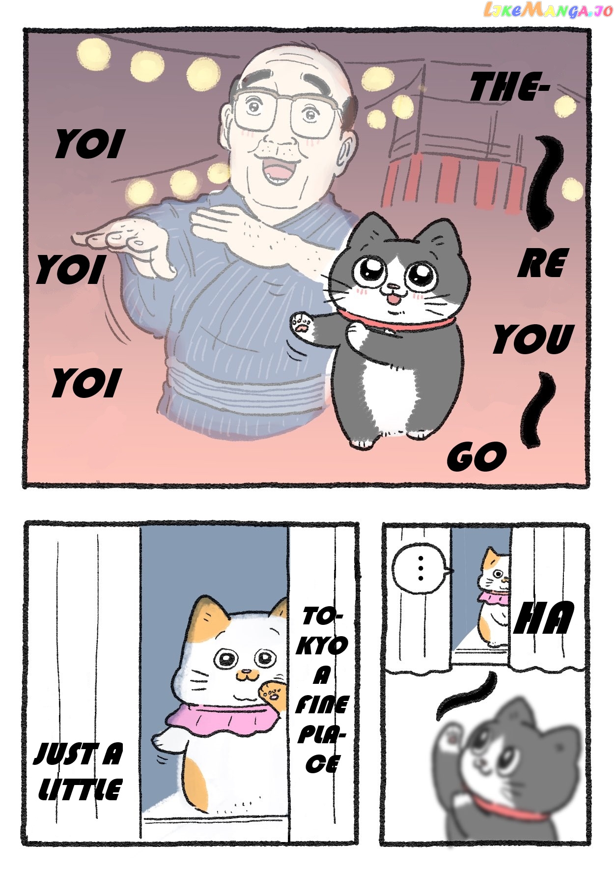 The Old Man Who Was Reincarnated As A Cat chapter 202 - page 2