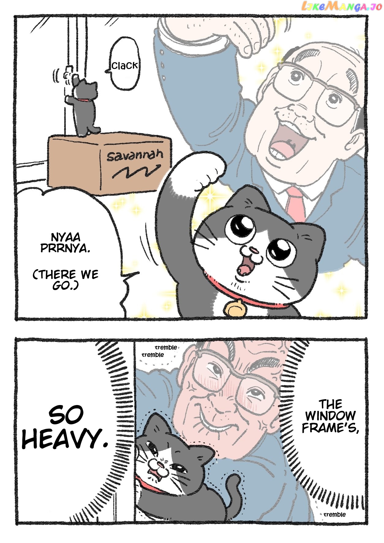 The Old Man Who Was Reincarnated As A Cat chapter 226 - page 2