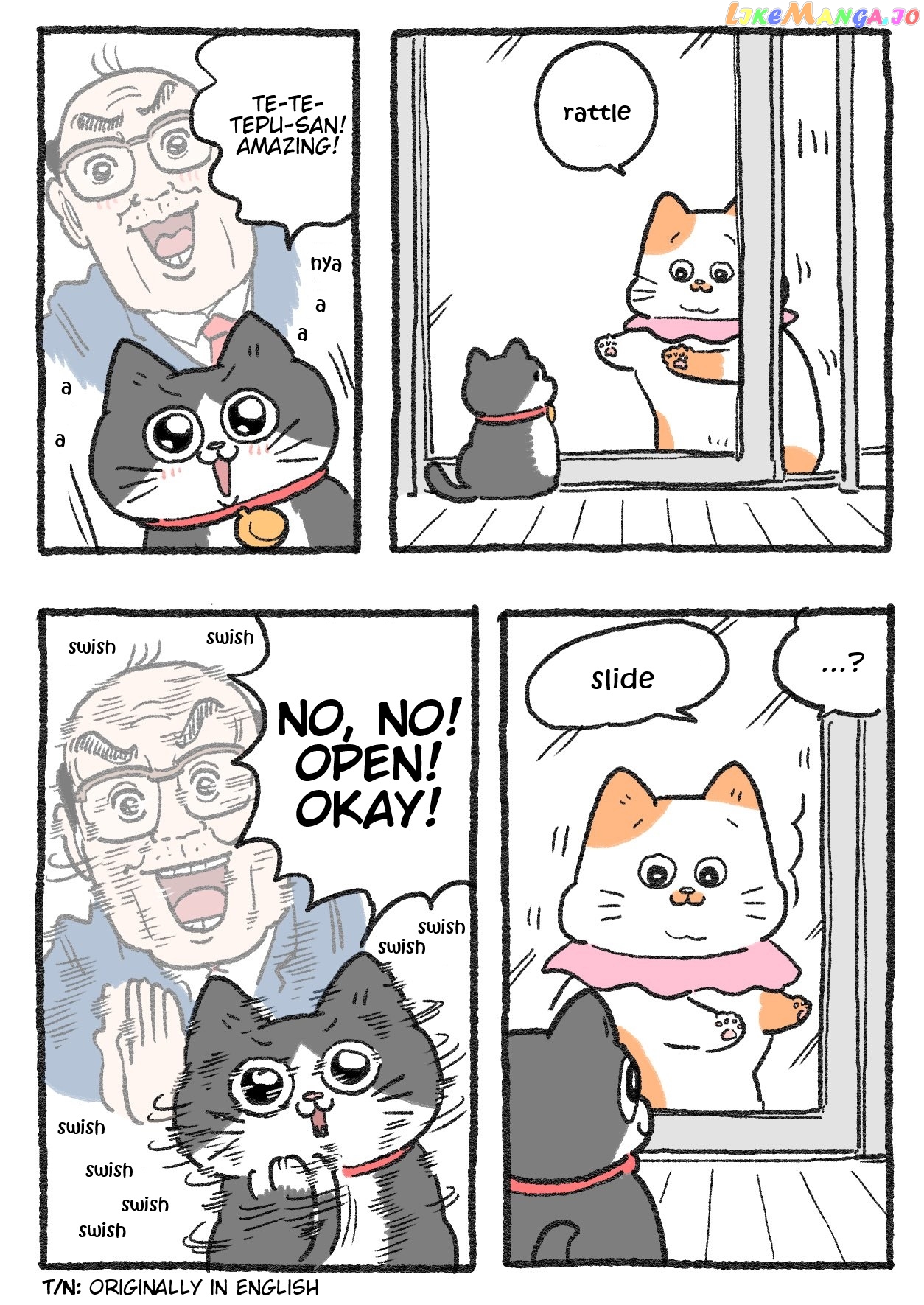 The Old Man Who Was Reincarnated As A Cat chapter 227 - page 2