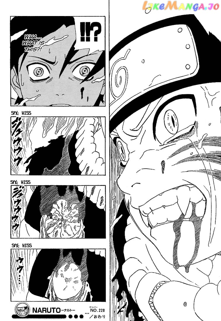 Naruto - Manga Chapter 228 - page 17