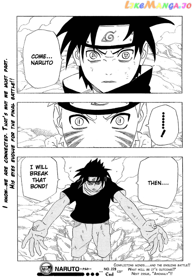 Naruto - Manga Chapter 229 - page 19