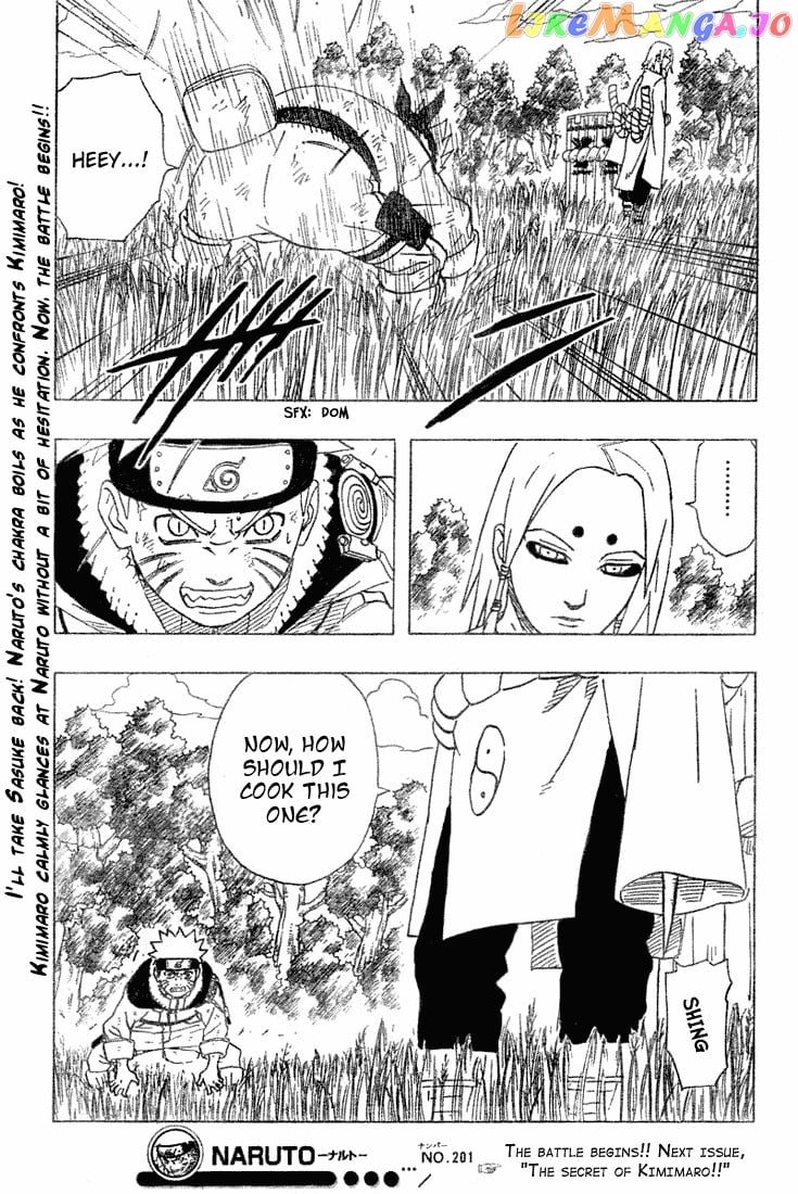 Naruto - Manga Chapter 201 - page 19