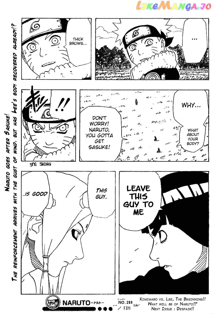 Naruto - Manga Chapter 209 - page 19