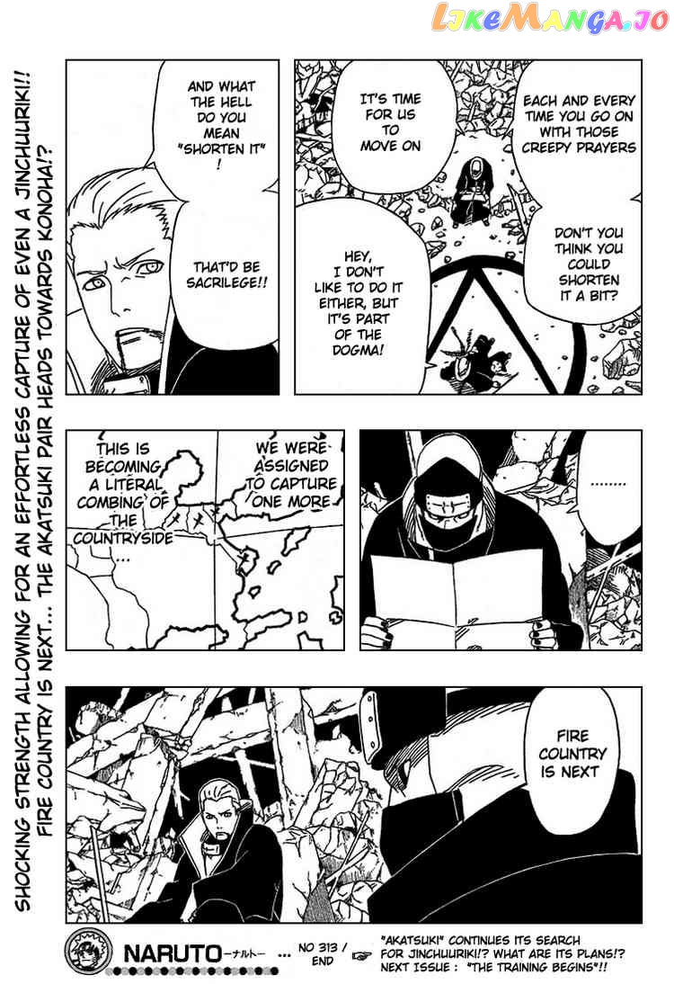 Naruto - Manga Chapter 313 - page 16