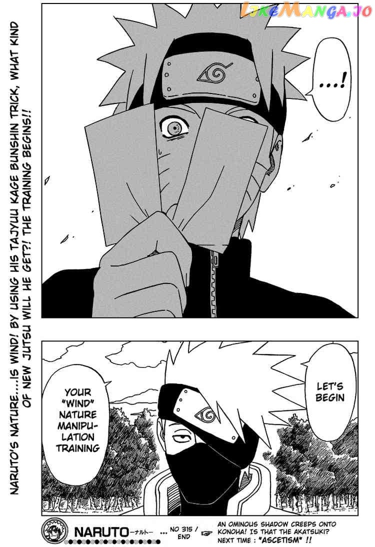 Naruto - Manga Chapter 315 - page 17