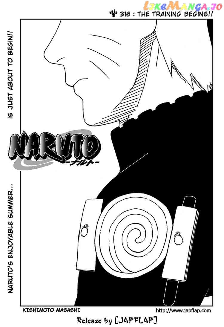 Naruto - Manga Chapter 316 - page 1