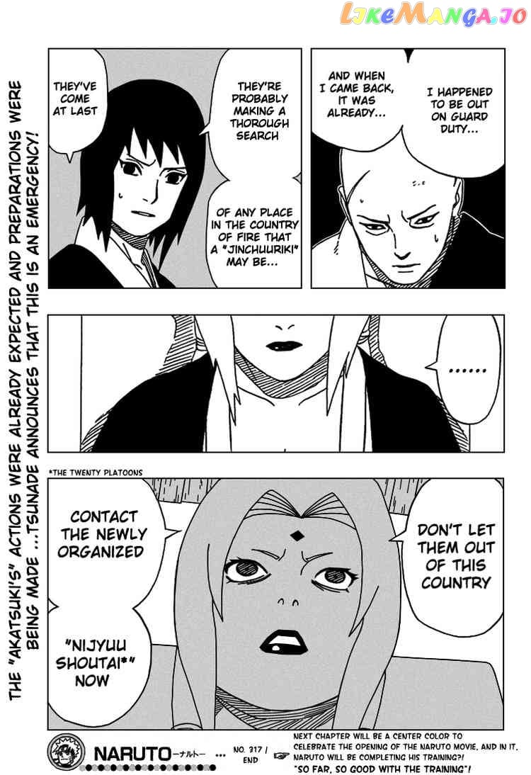 Naruto - Manga Chapter 317 - page 19