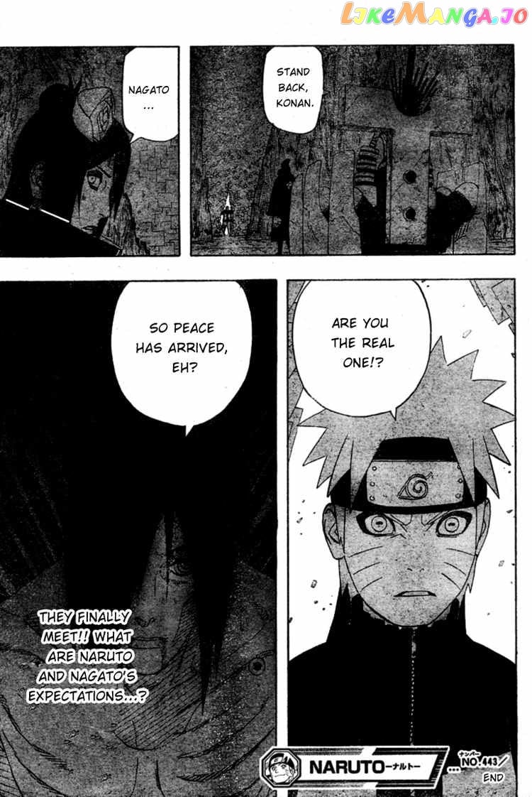 Naruto - Manga Chapter 443 - page 17