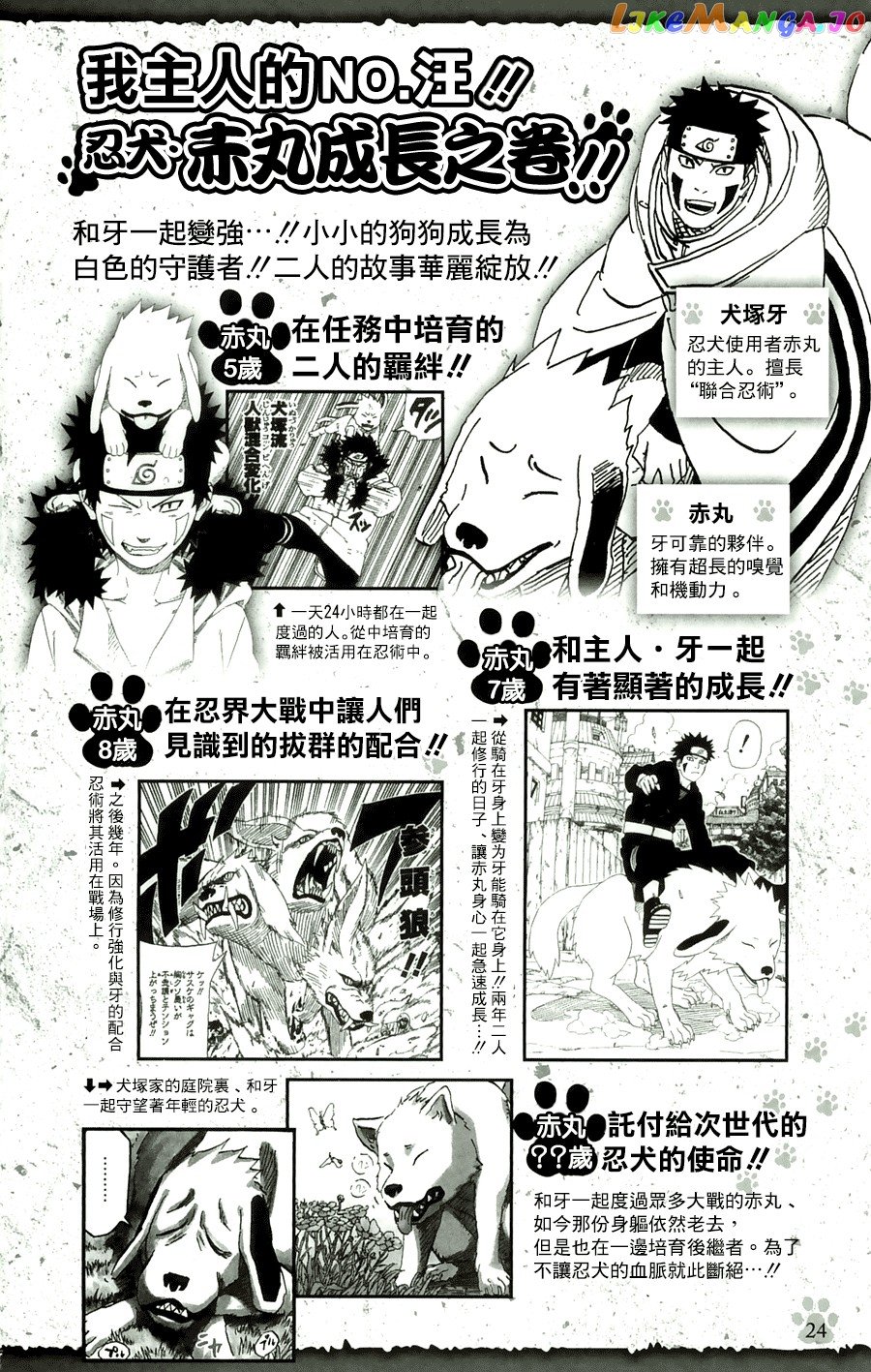 Naruto - Manga Chapter 700.1 - page 21