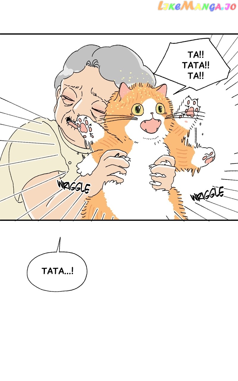 Tata The Cat chapter 3 - page 17