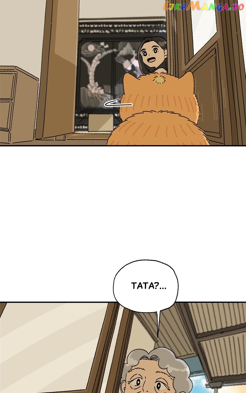 Tata The Cat chapter 12 - page 18