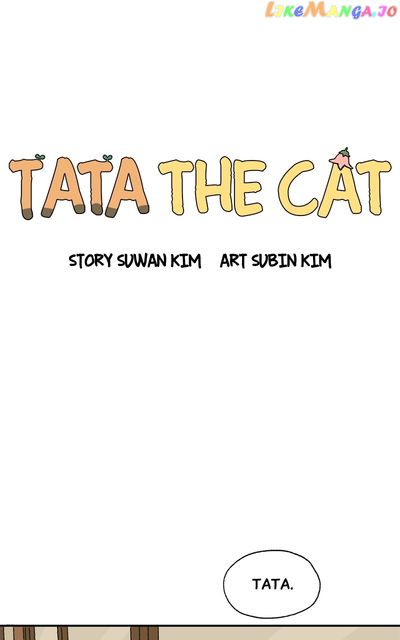 Tata The Cat chapter 12 - page 40