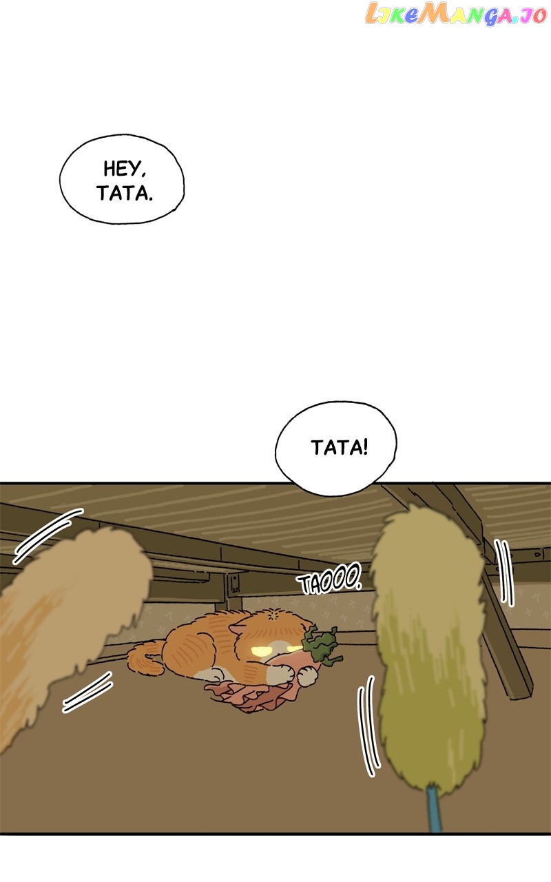 Tata The Cat chapter 12 - page 47