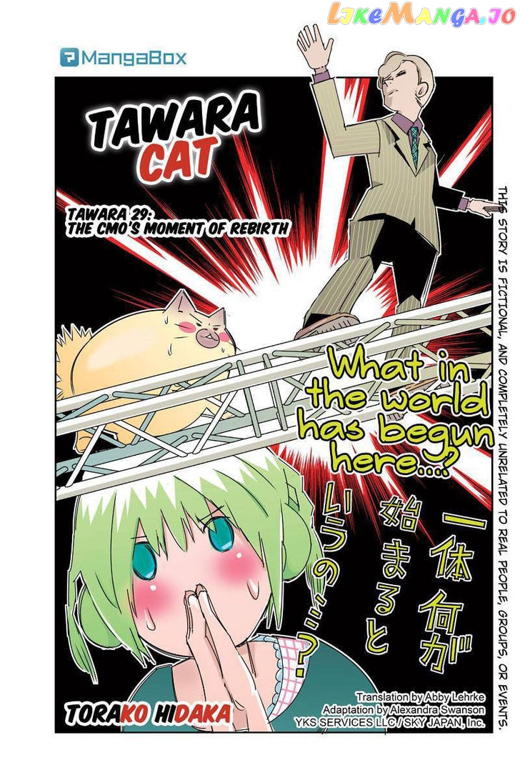 Tawara Neko to Machigai Jinsei chapter 29 - page 1