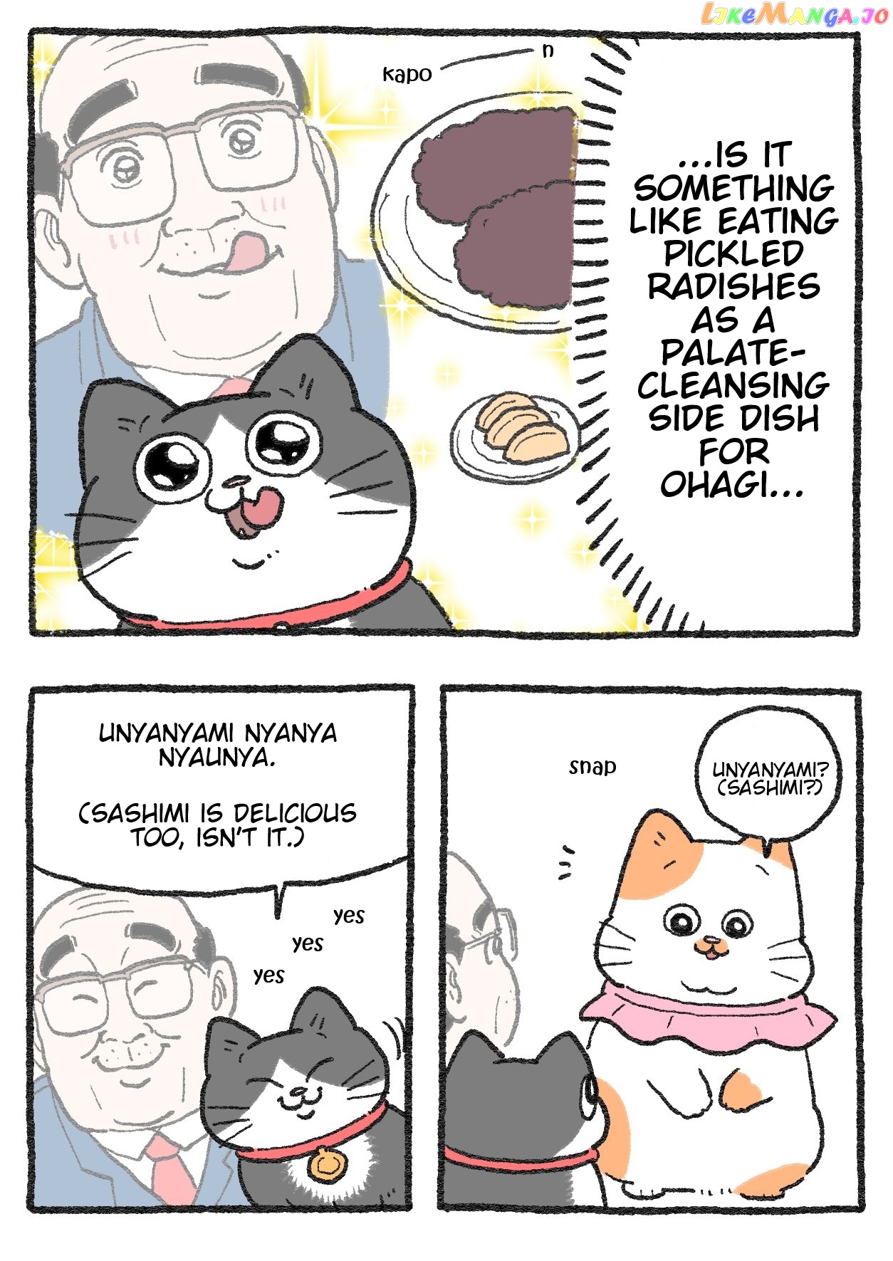The Old Man Who Was Reincarnated As A Cat Chapter 230 - page 2