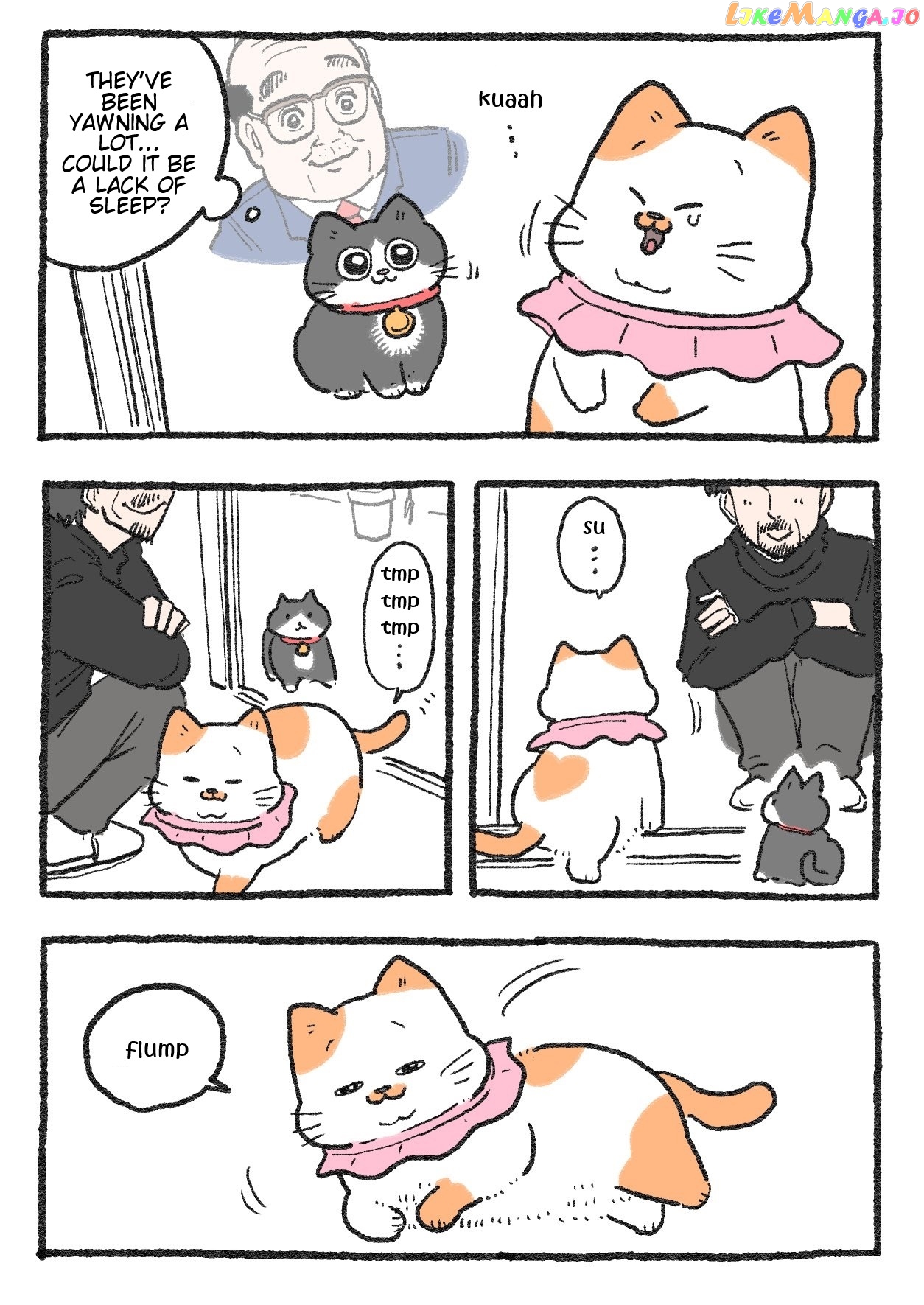 The Old Man Who Was Reincarnated As A Cat Chapter 232 - page 1