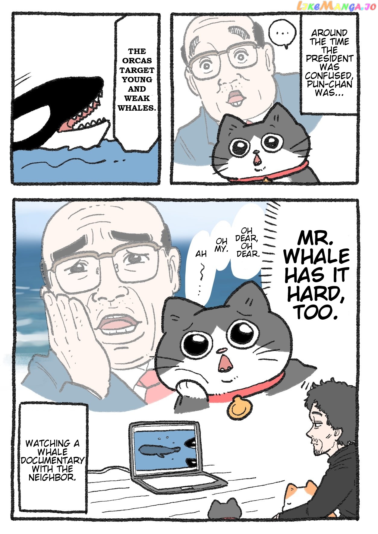 The Old Man Who Was Reincarnated As A Cat Chapter 238 - page 2