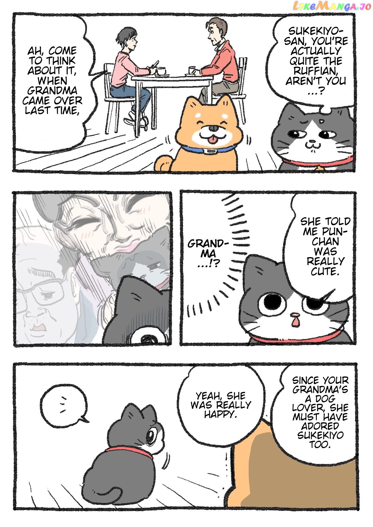 The Old Man Who Was Reincarnated As A Cat Chapter 243 - page 1