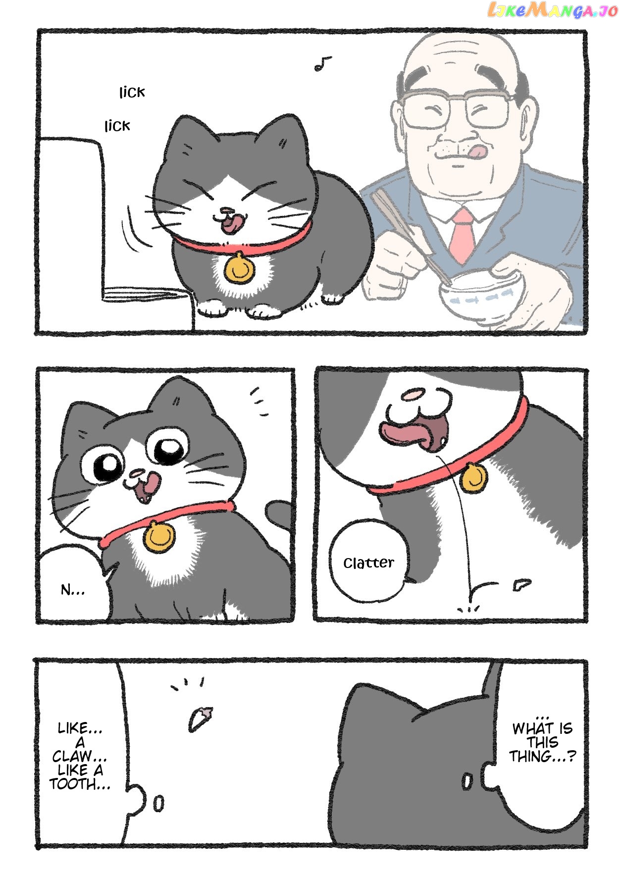 The Old Man Who Was Reincarnated As A Cat Chapter 249 - page 1