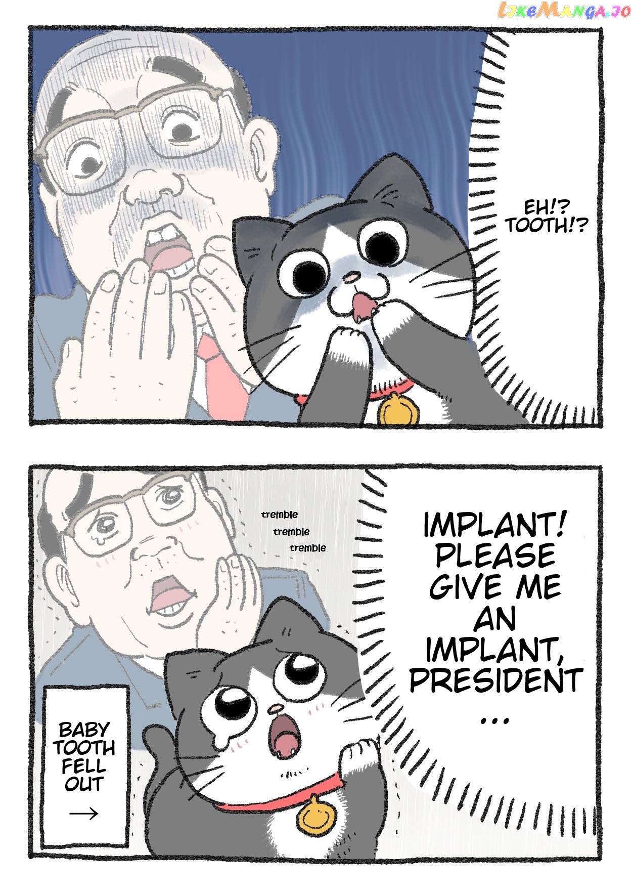 The Old Man Who Was Reincarnated As A Cat Chapter 249 - page 2