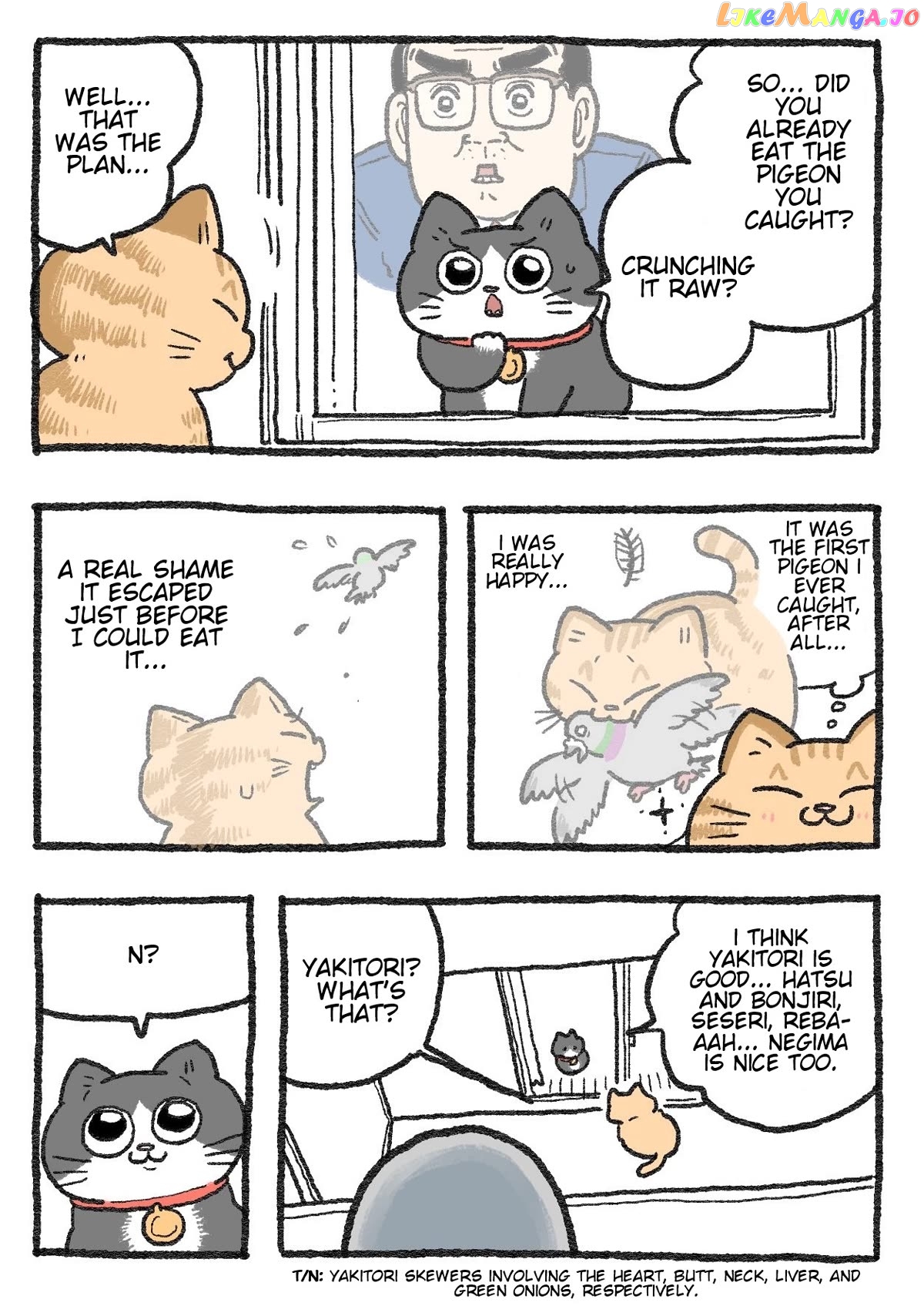 The Old Man Who Was Reincarnated As A Cat Chapter 253 - page 1