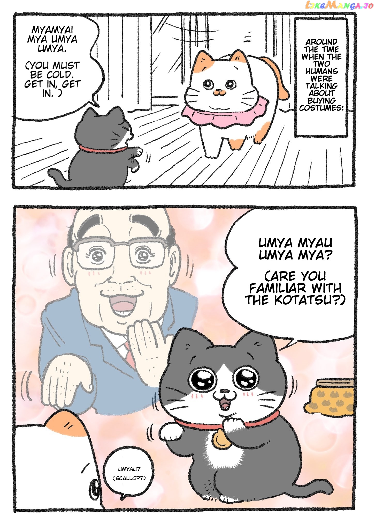 The Old Man Who Was Reincarnated As A Cat Chapter 266 - page 2