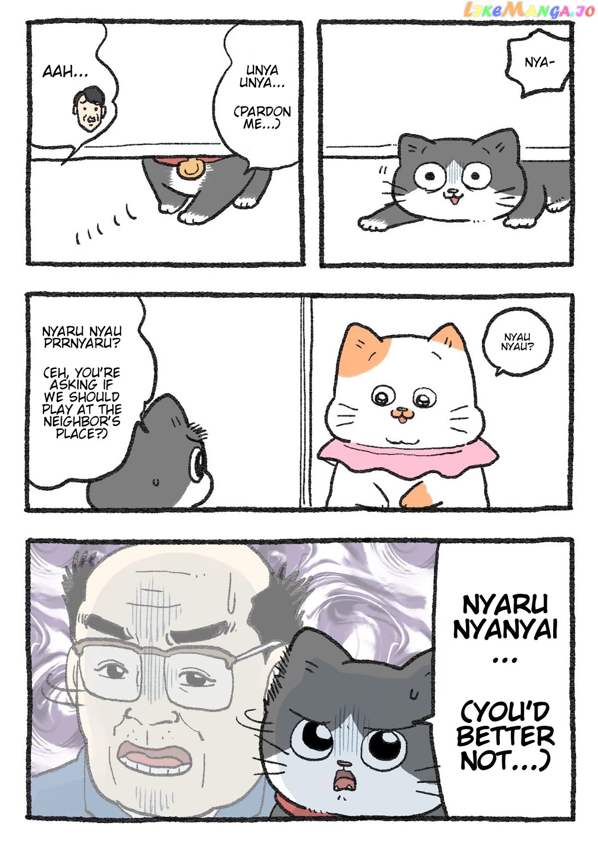 The Old Man Who Was Reincarnated As A Cat Chapter 282 - page 2