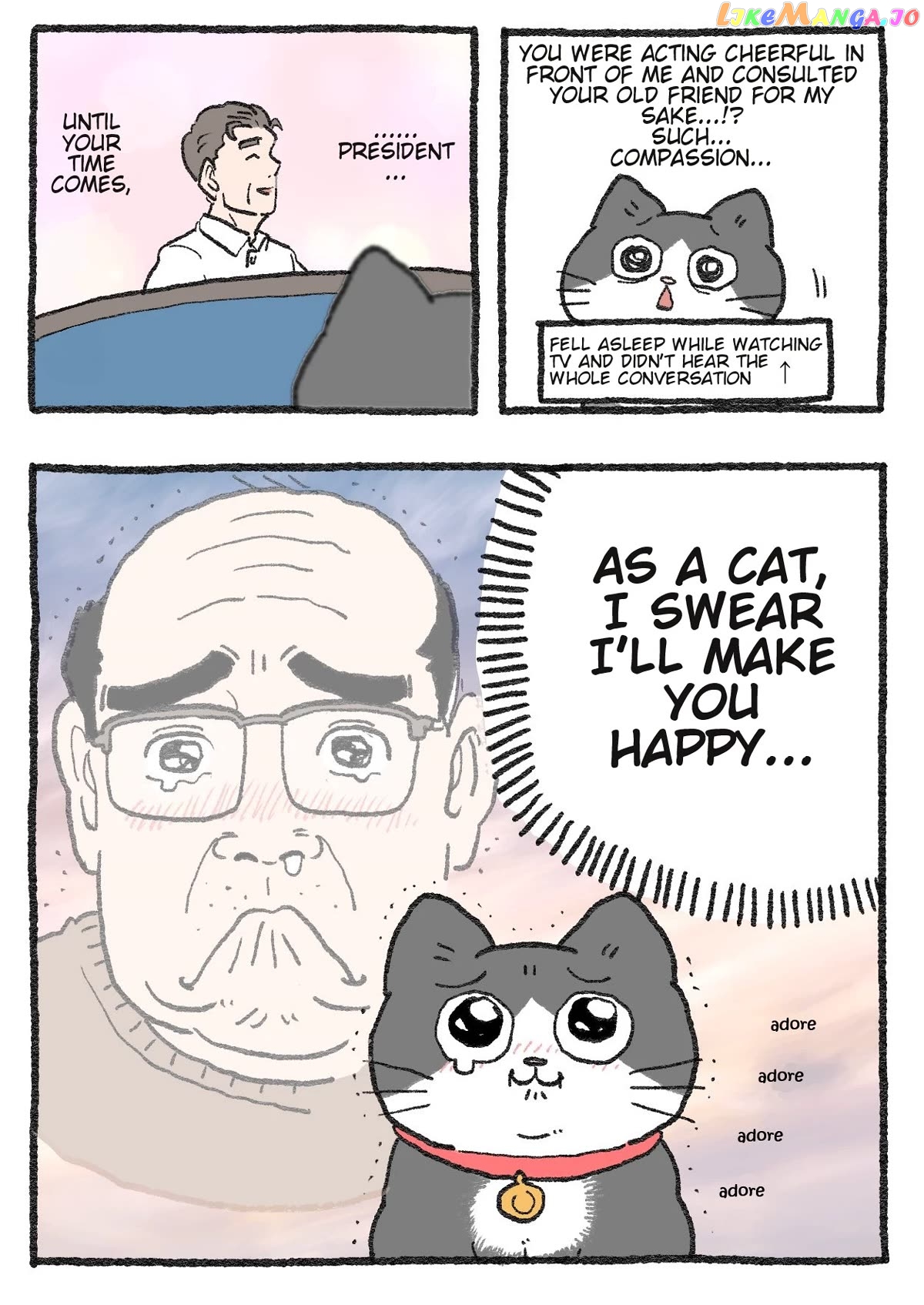 The Old Man Who Was Reincarnated As A Cat Chapter 302 - page 2