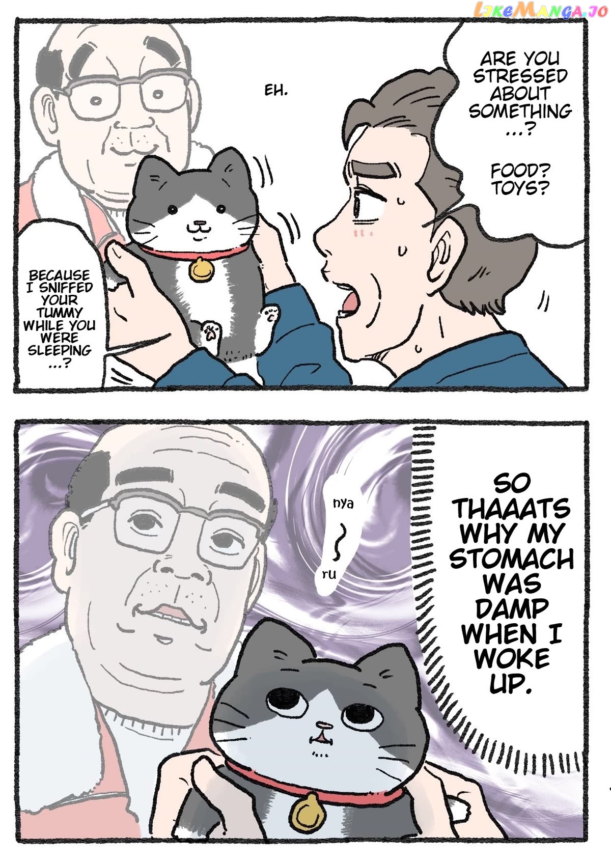 The Old Man Who Was Reincarnated As A Cat Chapter 306 - page 2