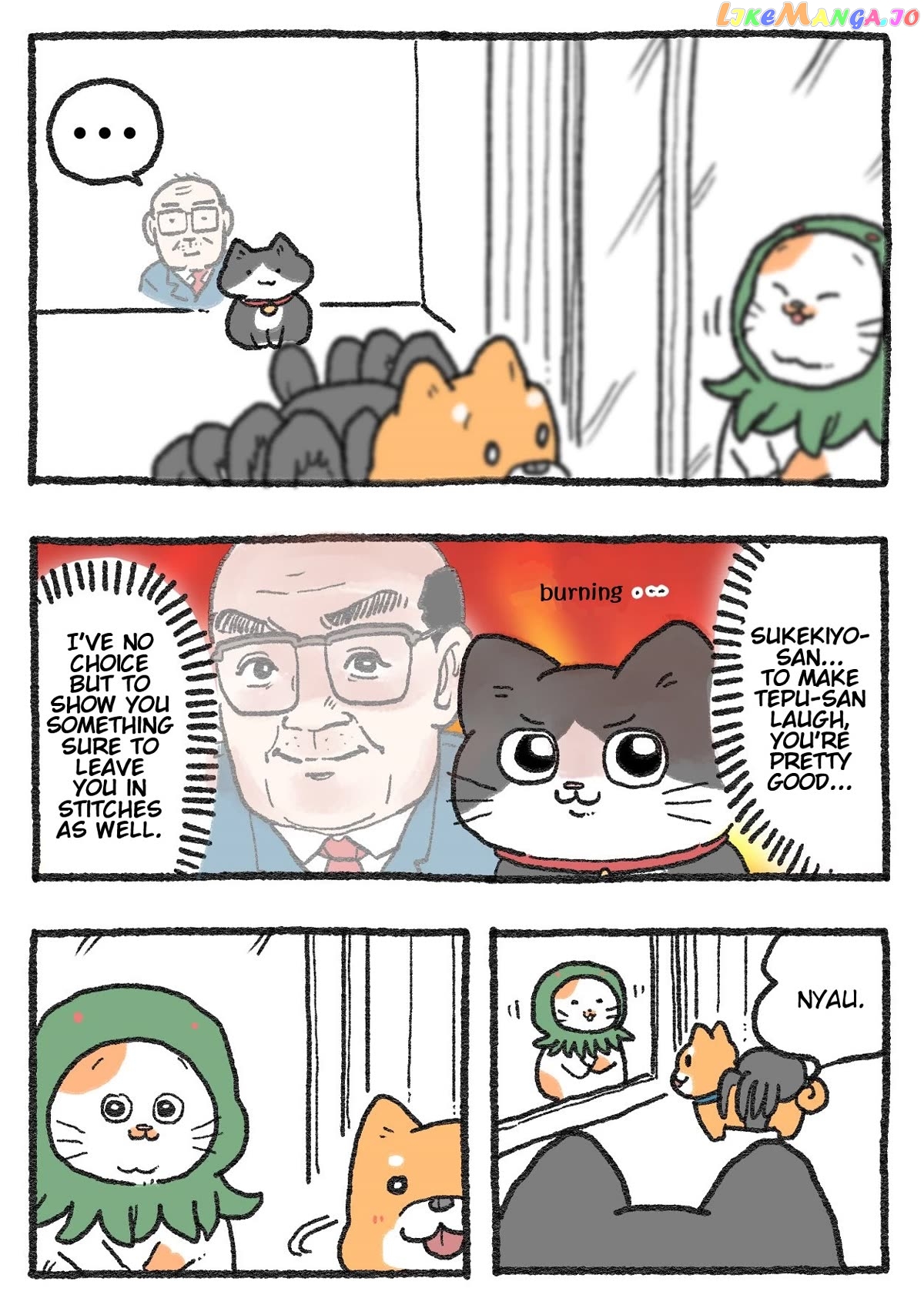 The Old Man Who Was Reincarnated As A Cat Chapter 311 - page 1