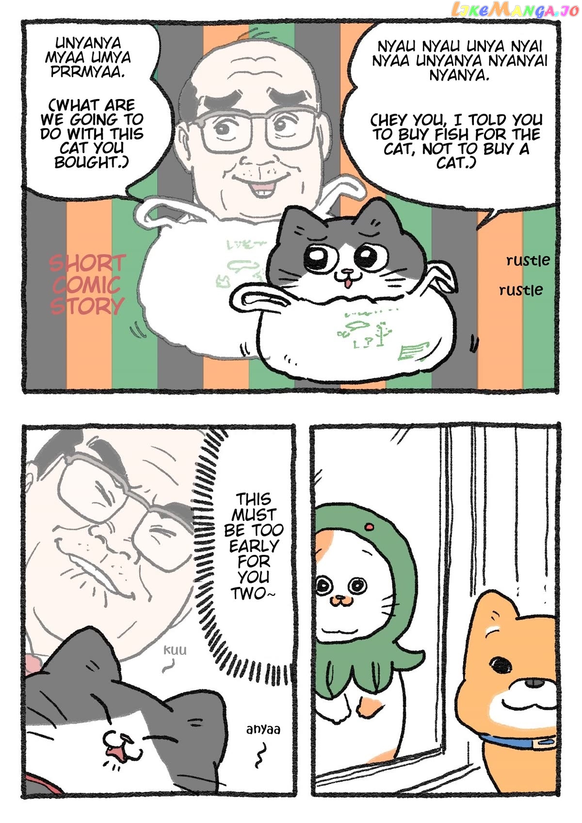 The Old Man Who Was Reincarnated As A Cat Chapter 311 - page 2