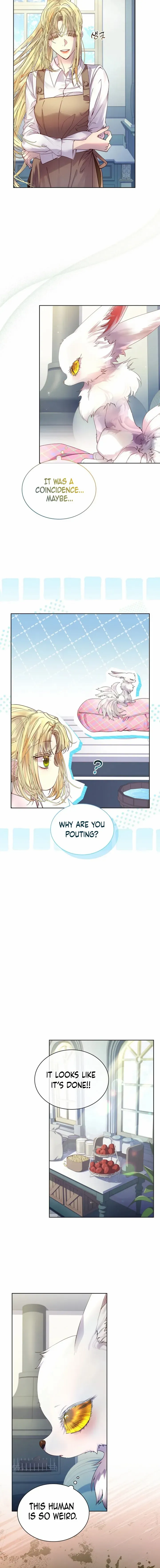 I Raised the Nine – Tailed Fox Wrongly Chapter 7 - page 3
