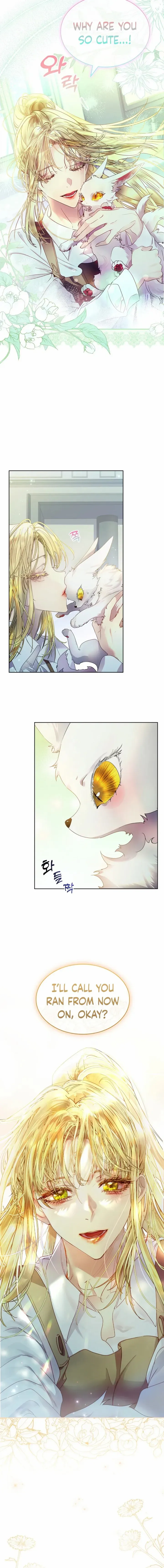 I Raised the Nine – Tailed Fox Wrongly Chapter 7 - page 7