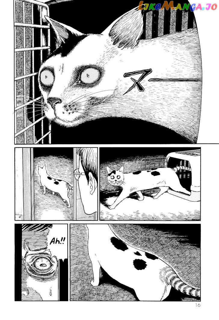 Itou Junji no Neko Nikki: Yon & Mu chapter 2 - page 4