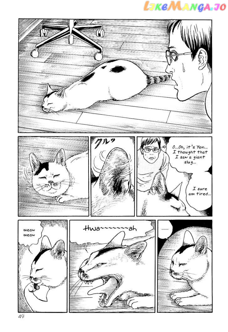 Itou Junji no Neko Nikki: Yon & Mu chapter 5 - page 3