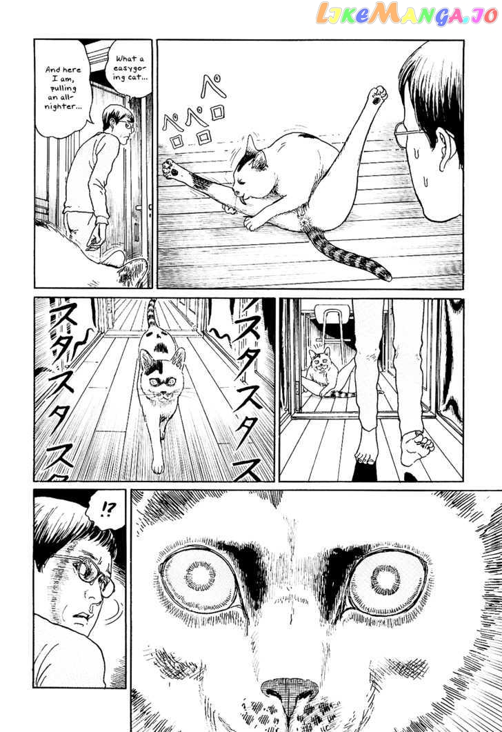 Itou Junji no Neko Nikki: Yon & Mu chapter 5 - page 4