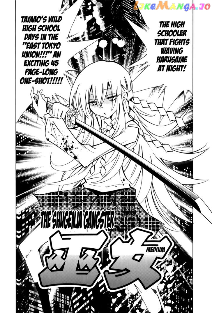 Shaman King: Remix Track chapter 10 - page 8