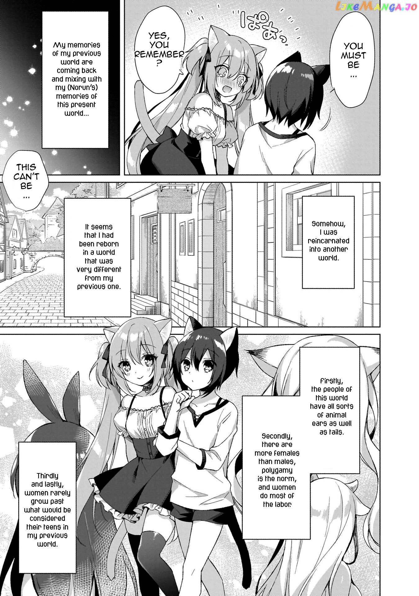 Boku No Risou No Isekai Seikatsu ~Tensei Shitara Kemomimi Musume Darake No Sekai De Harem Ni~ chapter 1 - page 14