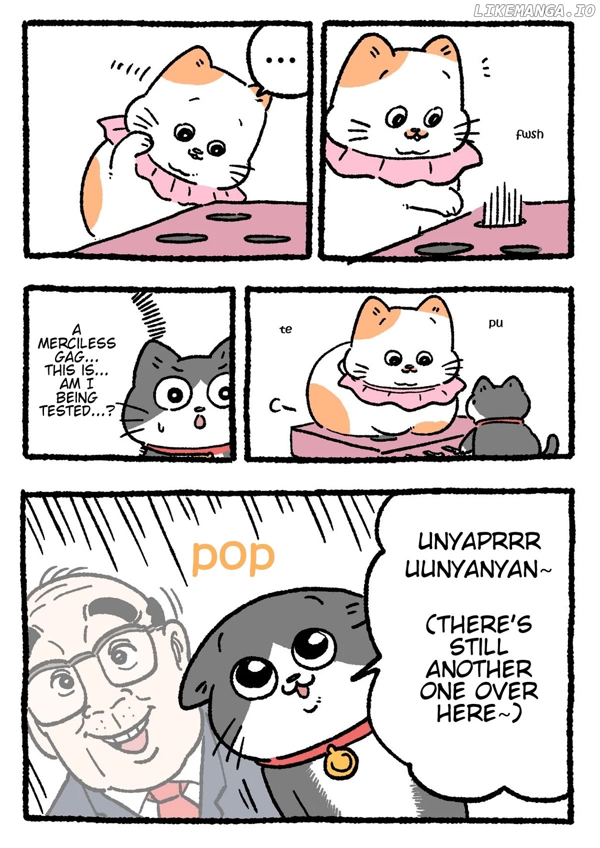 The Old Man Who Was Reincarnated As A Cat Chapter 344 - page 2