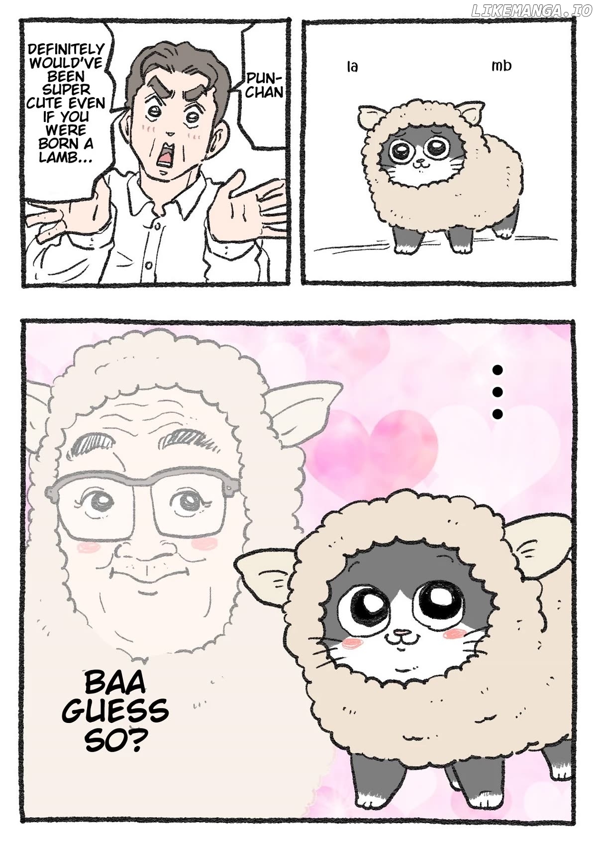 The Old Man Who Was Reincarnated As A Cat Chapter 348 - page 2
