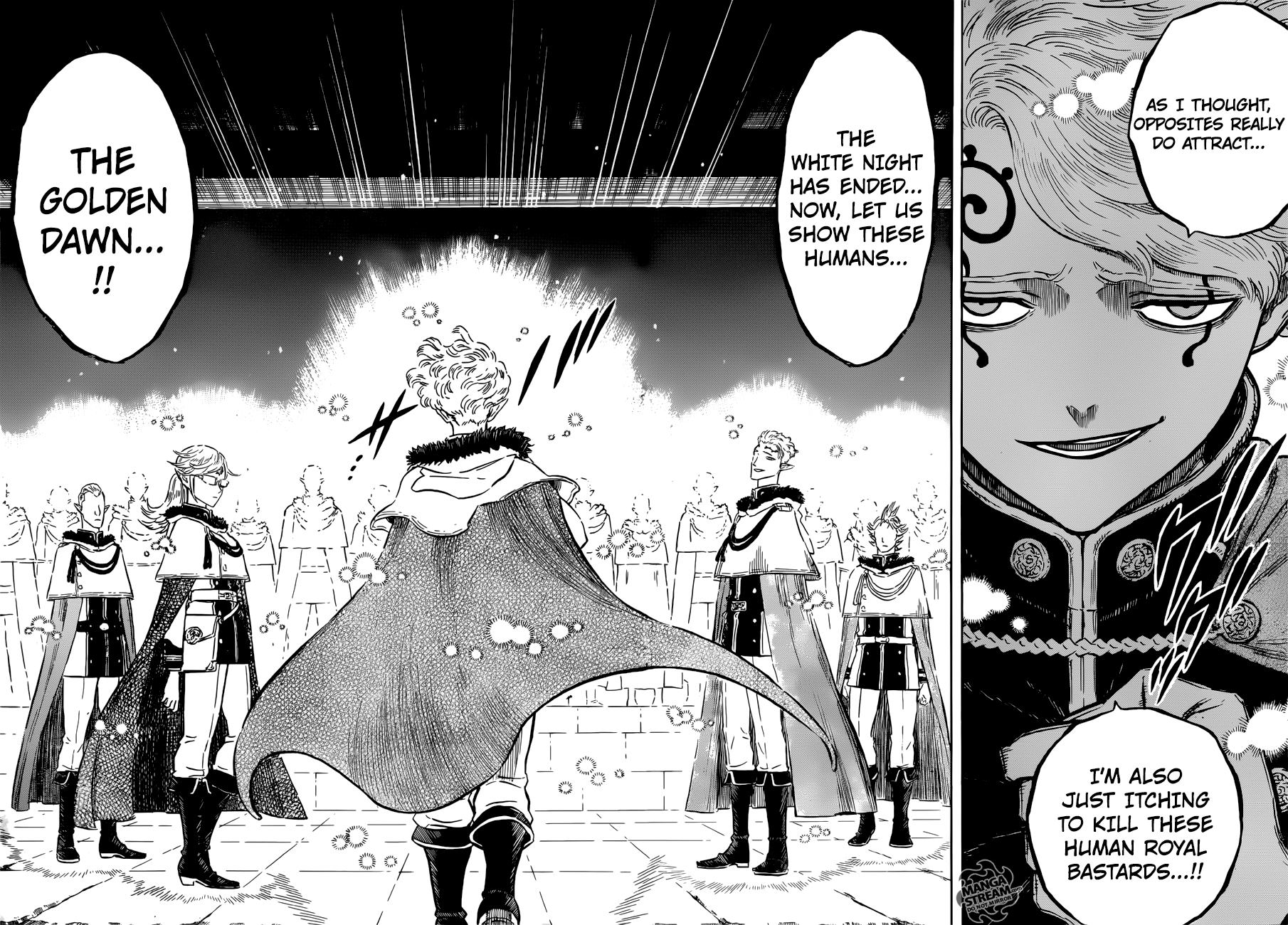 Black Clover chapter 172 - page 13