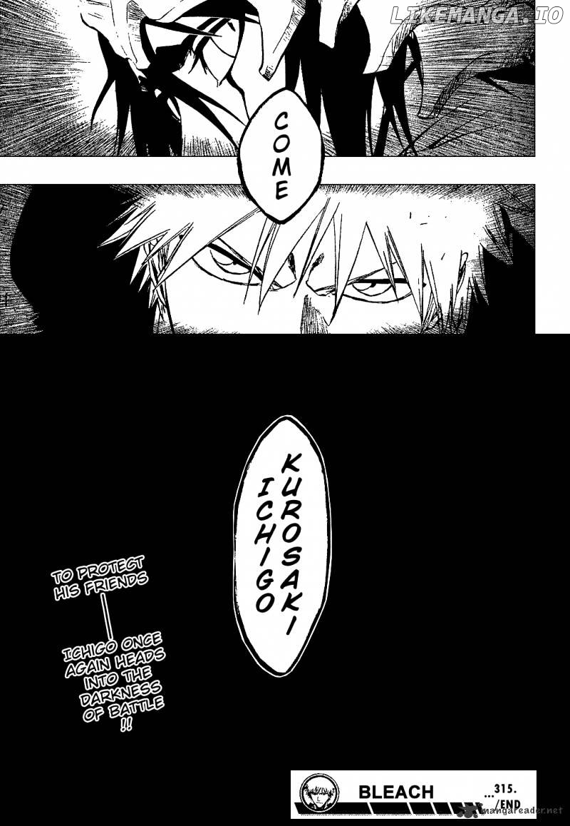 Bleach Chapter 315 - page 18