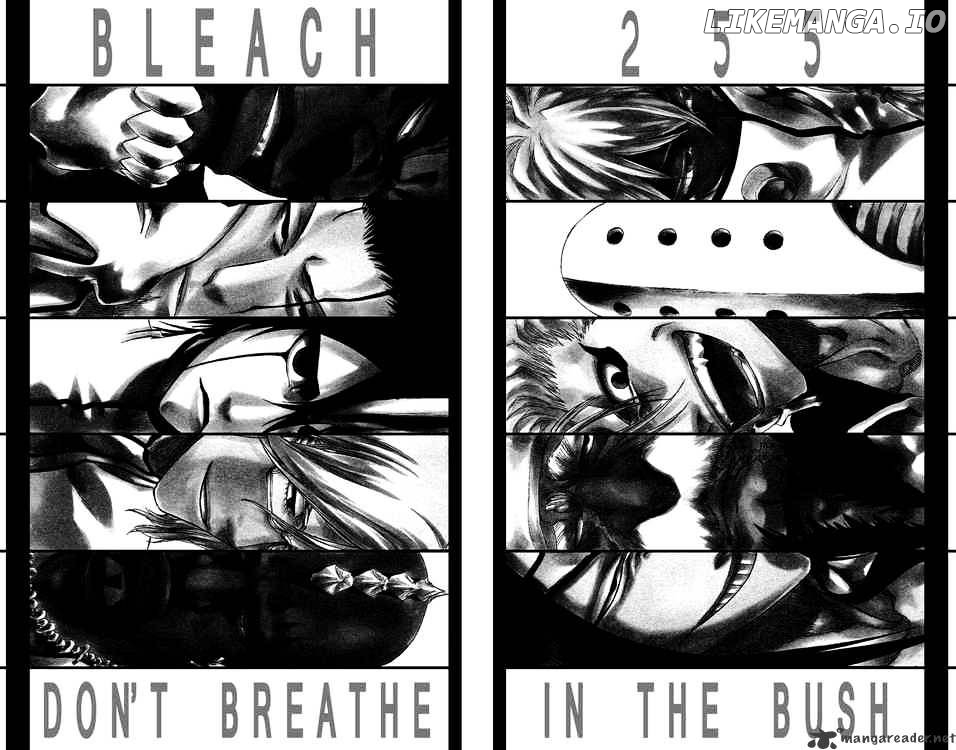 Bleach Chapter 255 - page 2