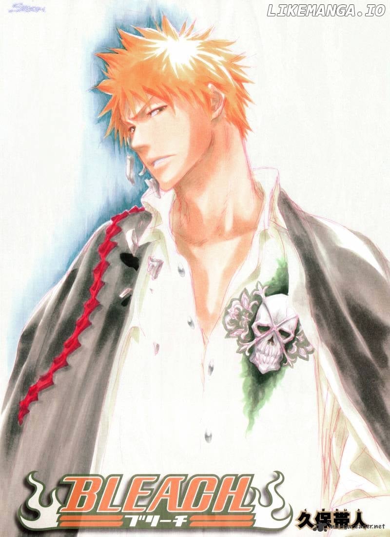 Bleach Chapter 323 - page 24