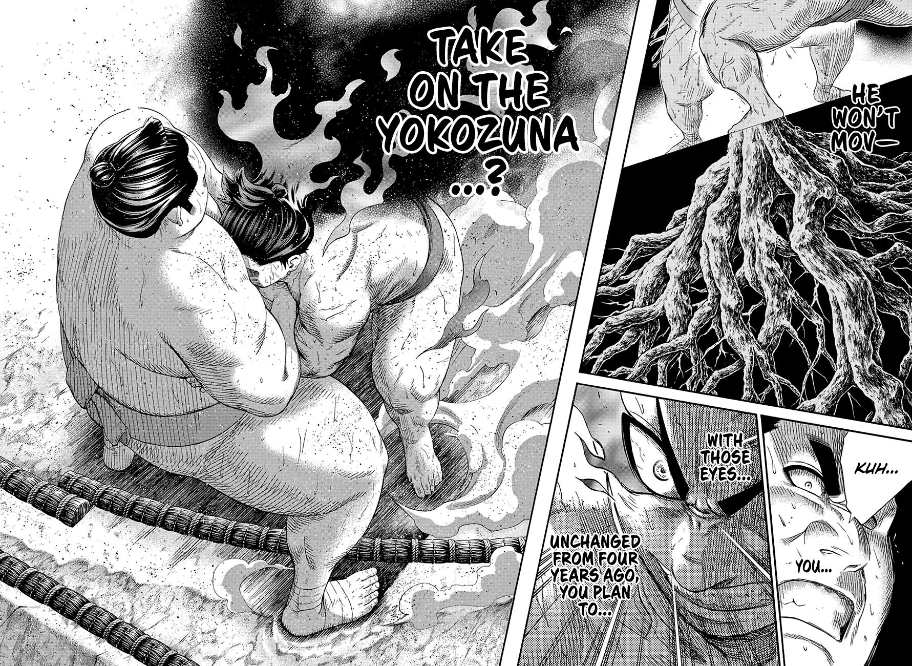 Hinomaru Zumou chapter 162 - page 15