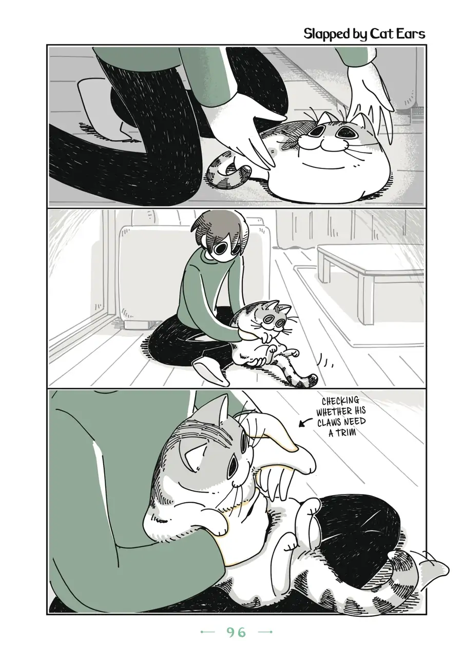 Nights with a Cat Chapter 24 - page 1