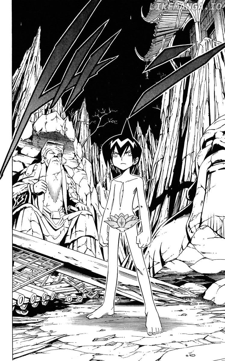 Shaman King Chapter 240 - page 5