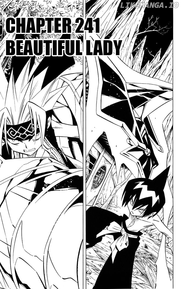 Shaman King Chapter 241 - page 3